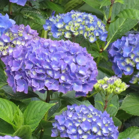 La Datiniere Panzió Parigny