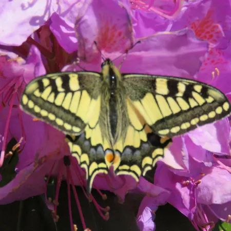 לינה וארוחת בוקר La Datiniere Parigny (Manche)