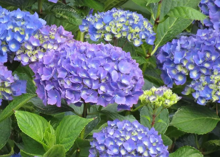 La Datiniere לינה וארוחת בוקר Parigny (Manche)