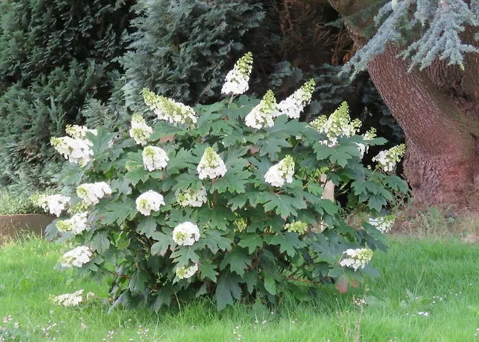 La Datiniere Bed & Breakfast 3*