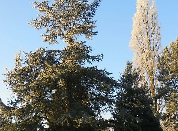 La Datiniere Bed & Breakfast Parigny (Manche)