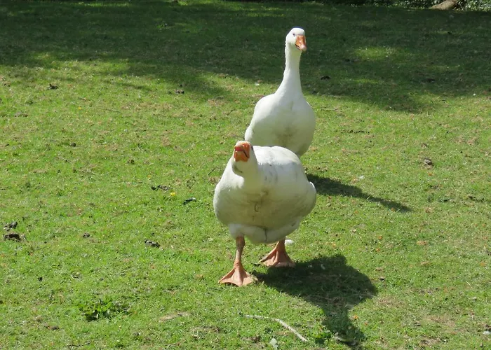 La Datiniere Bed & Breakfast 3*