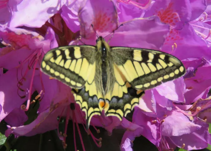 Bed & Breakfast La Datiniere Parigny (Manche)